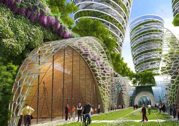 Архитектор Винсент Каллебо