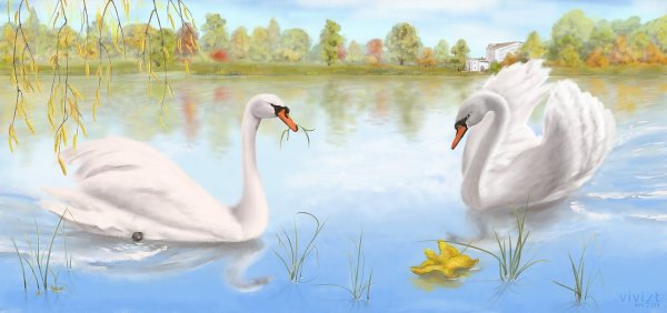 Рассказ Аксакова лебедь