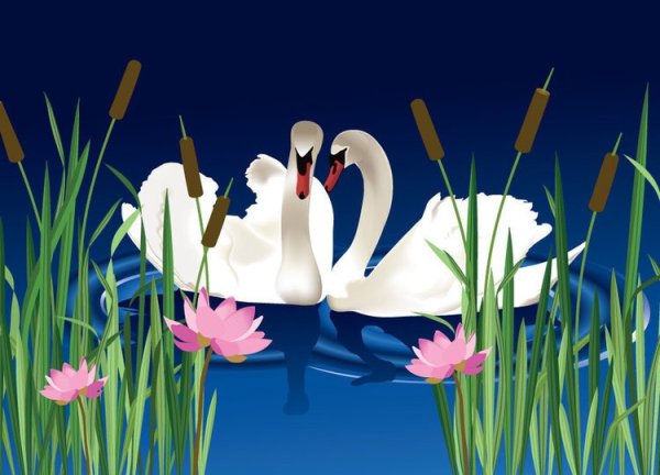 Лебеди на озере рисунок