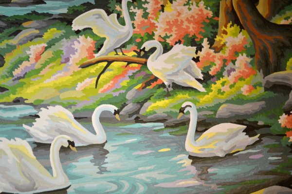Картина " лебедь"