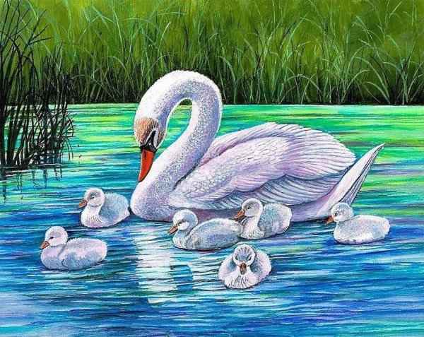 Лебеди с лебедятами узор