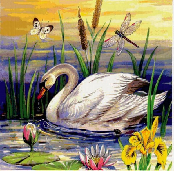 Лебеди в камышах