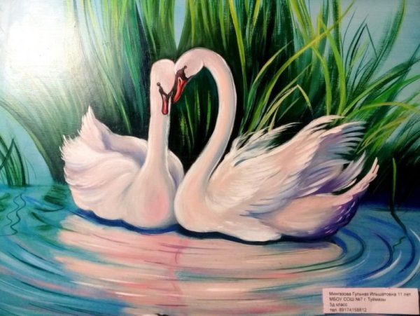 Нарисовать лебедя