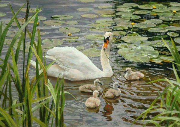 Художник Peter Barker картины