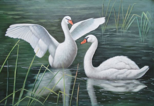 Лебедь рисунок красивый