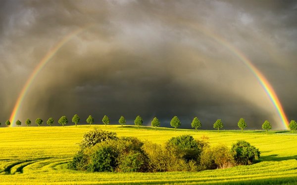 Дождь и солнце