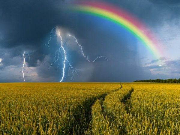 Гроза и дождь