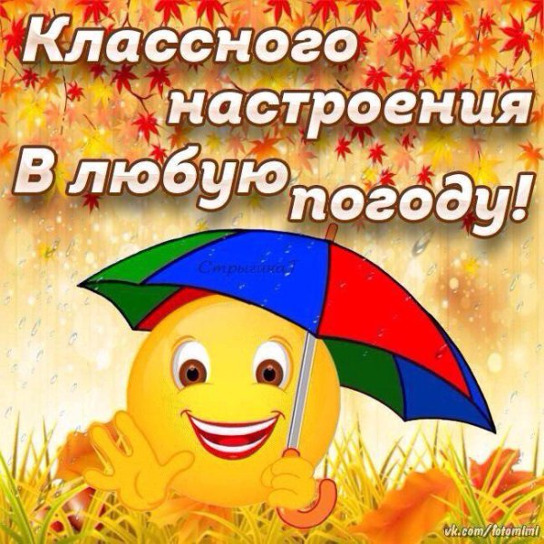 Классного настроения в любую погоду