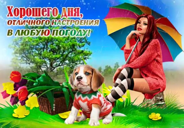 Хорогегонастроенич в оюбкю погоду