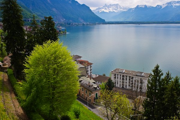 Природа Швейцарии Женевское озеро