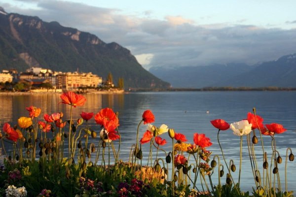 Женевское озеро Швейцария