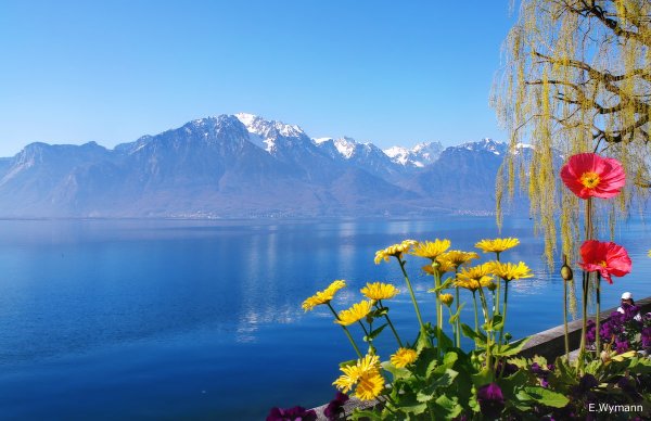 Женевское озеро Швейцария Весна