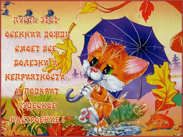 Хорошего настроения в дождливую осень