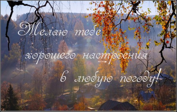С добрым осенним дождливым утром