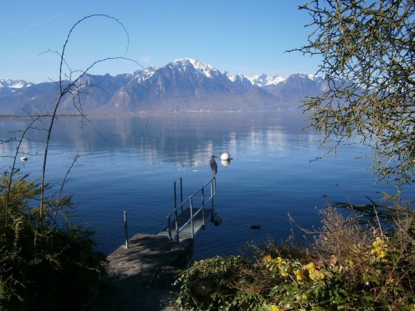 Озеро Леман в Швейцарии