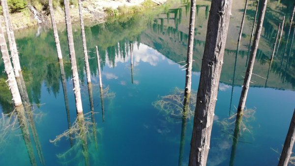 Озеро Каинды в Казахстане под водой