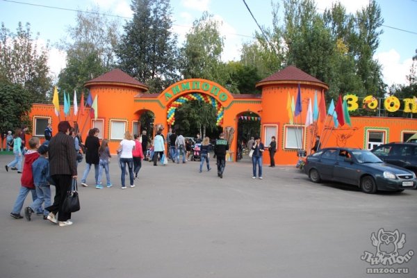 Зоопарк Сормовский парк Нижний Новгород