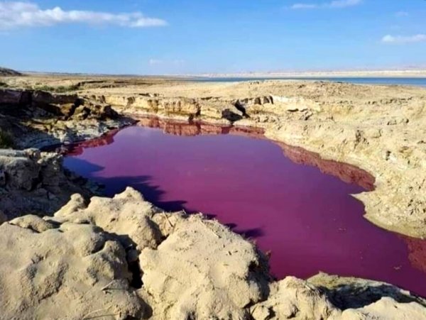 Красное море и Мертвое море