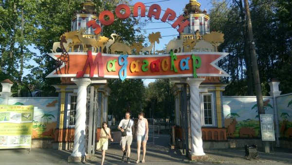 Мадагаскар Нижний Новгород Сормовский парк