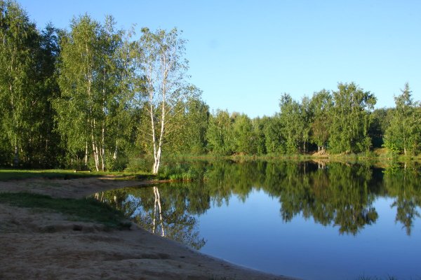 Сормовский парк Нижний Новгород природа