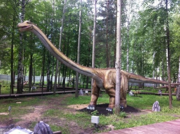 Парк динозавров в Нижнем Новгороде в Сормовском