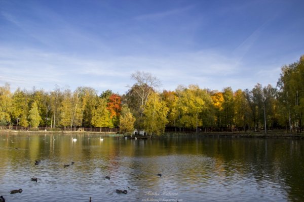 Сормовский парк Нижний Новгород озеро