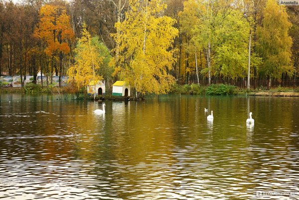 Сормовский парк Нижний Новгород осень