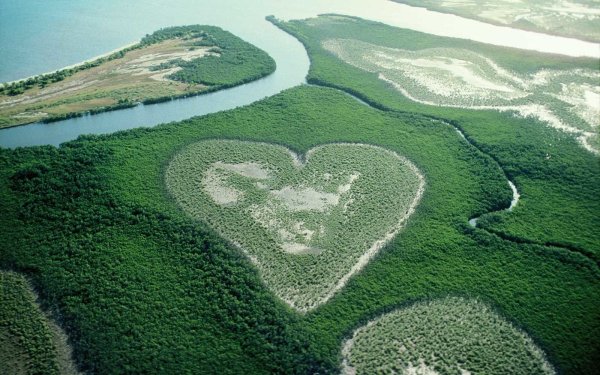 Coeur de Voh новая Каледония