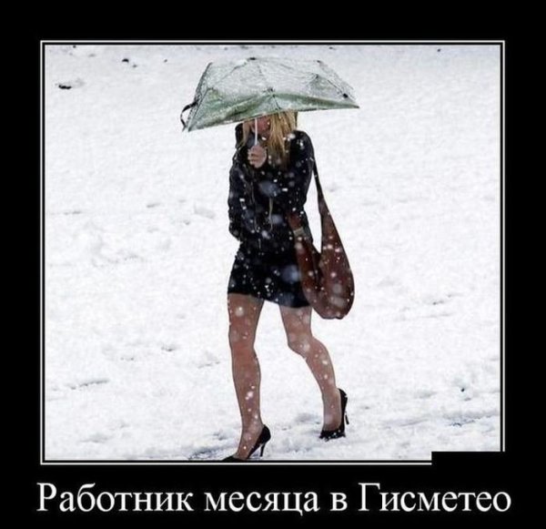 Холодное дождливое лето юмор