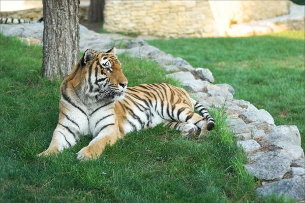 Сафари-парк Геленджик