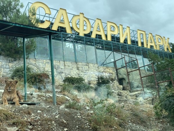 Зоопарк в Геленджике сафари парк