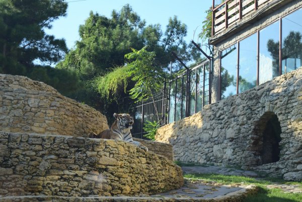 Сафари-парк Геленджик