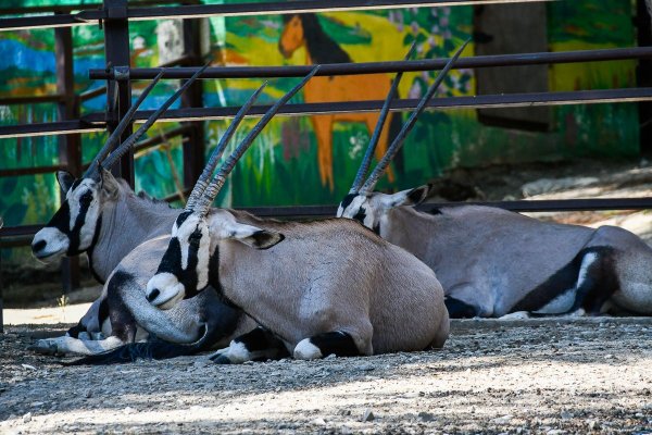 Зоопарк Геленджик