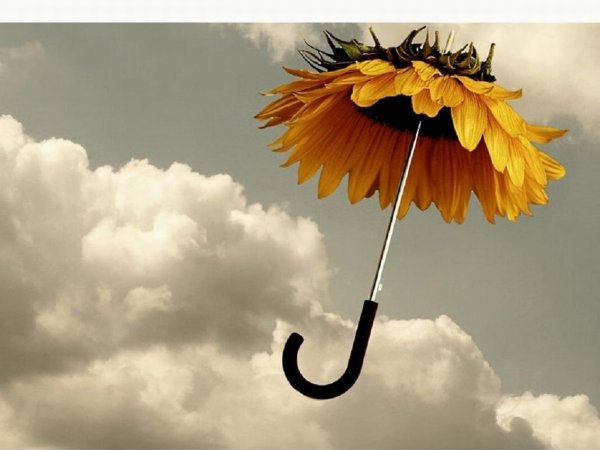 Яркого настроения в пасмурный день