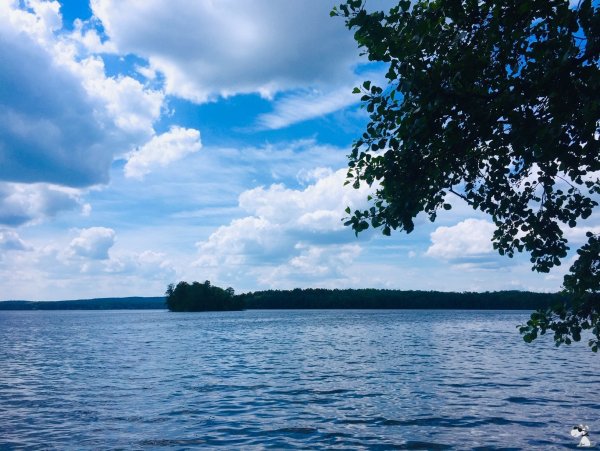 Река Увильды