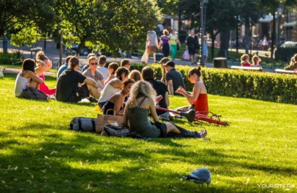 Пикник на газоне в парке