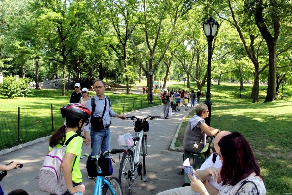 Прогулки в парках