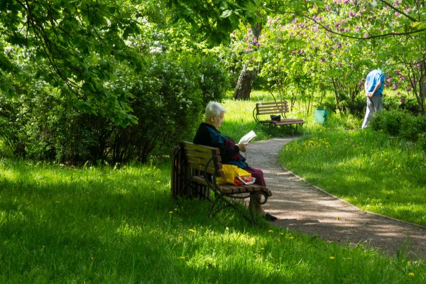 Лето в парке