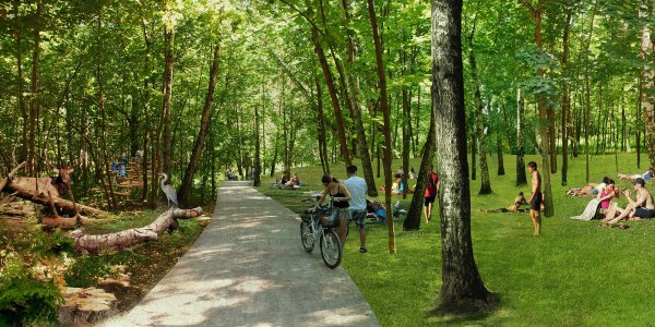 Парк Сокольники лес