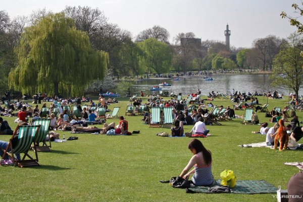 Риджентс-парк в Лондоне спорт