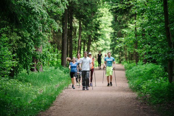 Мещерский парк дорожки