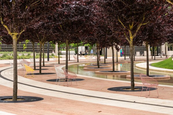 Парк Галицкого клен