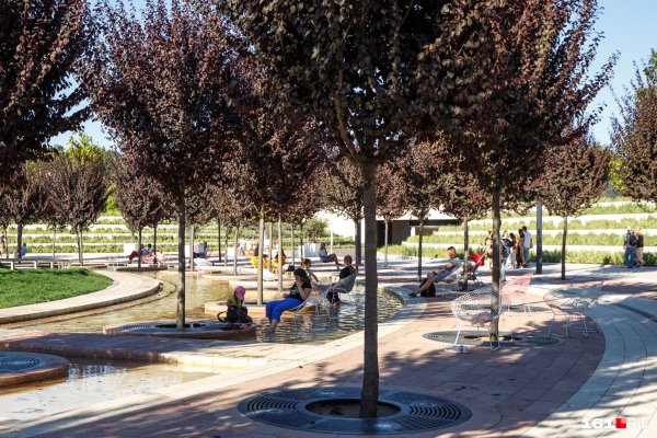 Парк Галицкого Ростов на Дону