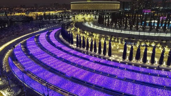 Парк Галицкого в Краснодаре Лаванда