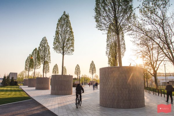 Парк Галицкого в Краснодаре деревья