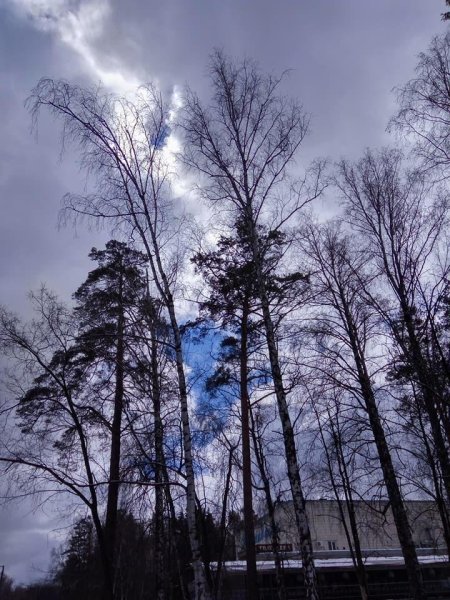 Переменчивая погода
