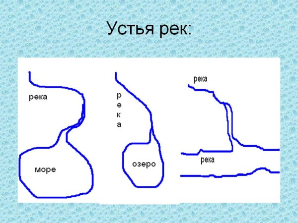 Устье реки реки