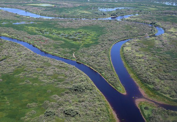 Новгородская область Дельта реки Ловать
