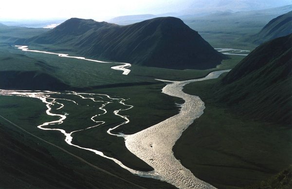 Ручей впадает в реку