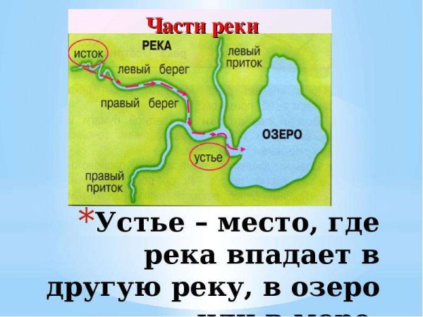 Место где впадает река